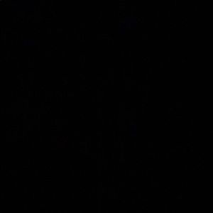 Meet your Posher, Jacklyn